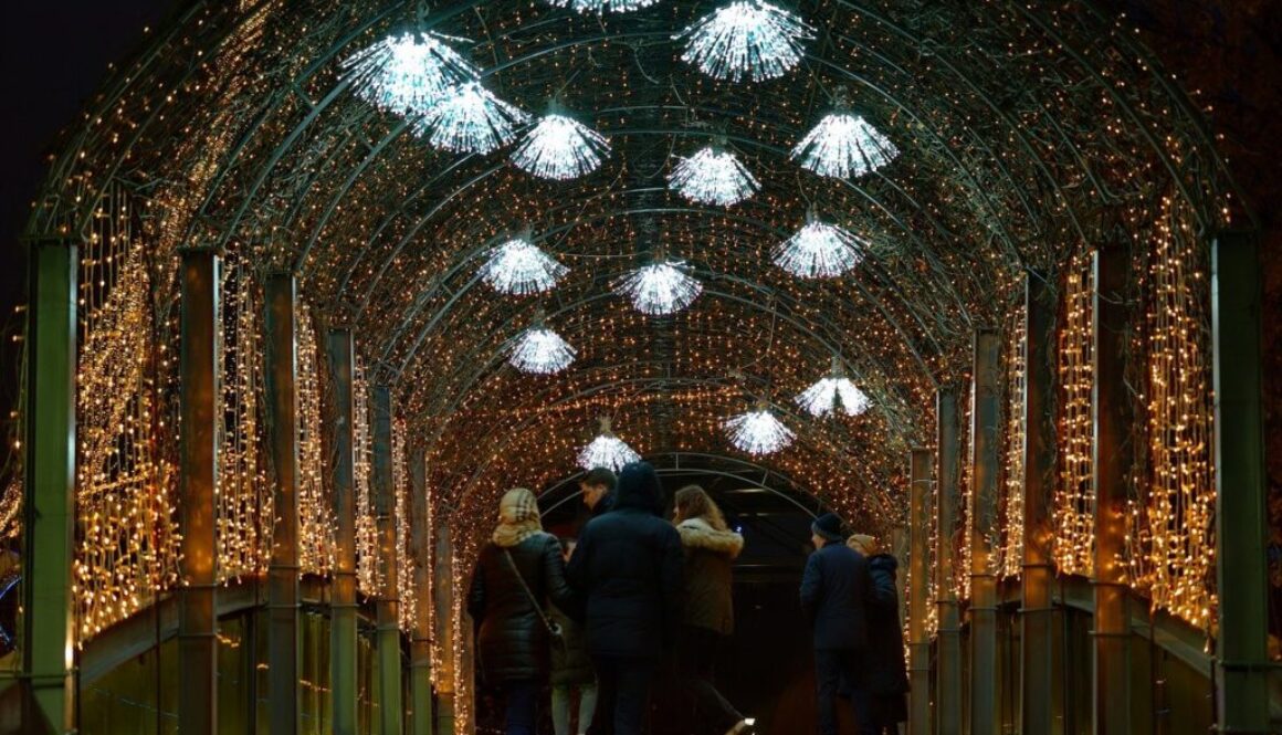 decoration ornaments lights colors 8445778