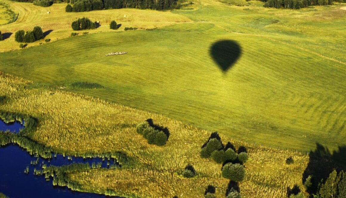 green nature air balloon 1236164