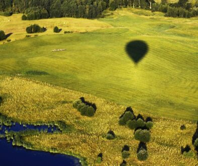 green nature air balloon 1236164