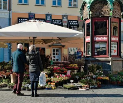 Litewskie wina – czy warto spróbować i gdzie kupić?